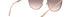 0BV6118 20147E